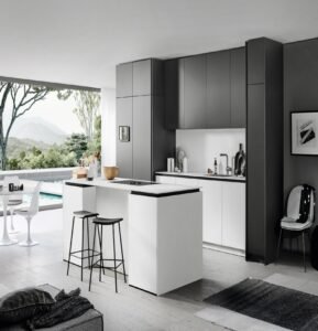 “Monochrome sleek kitchen cabinet in black and white with clean lines, particleboard surfaces, and a central island, showcasing Scandinavian minimalist design for a bright, functional kitchen.”