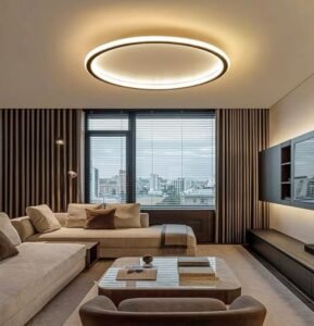 White Circular Minimalist Ceiling Lamp